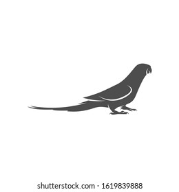 
Parrot logo icon design vector illustration, Bird Parrot logo template