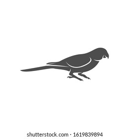 
Parrot logo icon design vector illustration, Bird Parrot logo template
