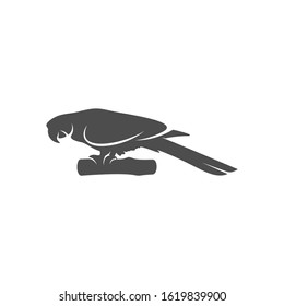 
Parrot logo icon design vector illustration, Bird Parrot logo template