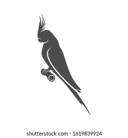 
Parrot logo icon design vector illustration, Bird Parrot logo template