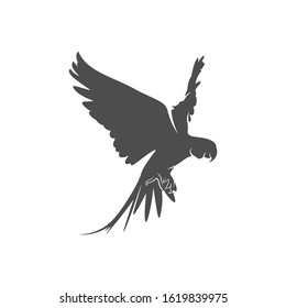 
Parrot logo icon design vector illustration, Bird Parrot logo template