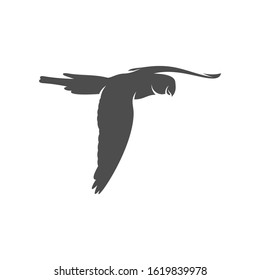 
Parrot logo icon design vector illustration, Bird Parrot logo template