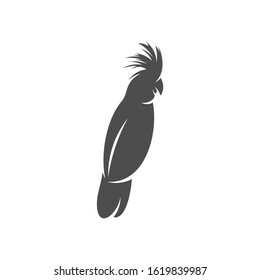 
Parrot logo icon design vector illustration, Bird Parrot logo template