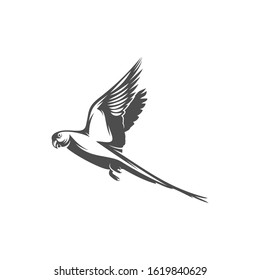 
Parrot logo icon design vector illustration, Bird Parrot logo template