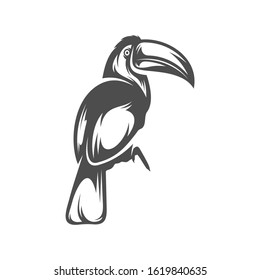 
Parrot logo icon design vector illustration, Bird Parrot logo template