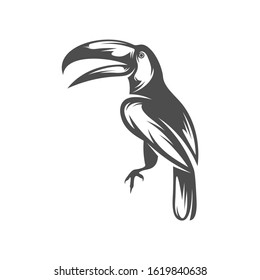 
Parrot logo icon design vector illustration, Bird Parrot logo template