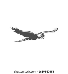 
Parrot logo icon design vector illustration, Bird Parrot logo template