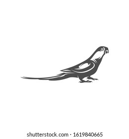
Parrot logo icon design vector illustration, Bird Parrot logo template