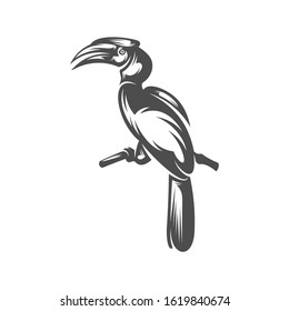 
Parrot logo icon design vector illustration, Bird Parrot logo template