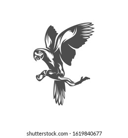 
Parrot logo icon design vector illustration, Bird Parrot logo template