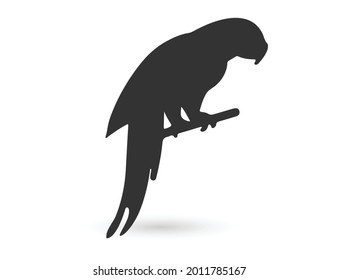 Parrot logo icon design vector illustration, Bird Parrot logo template