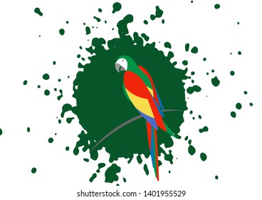 parrot logo idea design, beautiful scarlet macaw bird in natural color, vector illustration isolated on green splash background