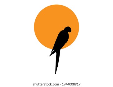 parrot logo idea design, beautiful macaw bird silhouette and orange sun, vector illustration isolated or white background