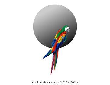 Papagei Logo-Idee Design, schöner rachfarbiger Giervogel, Vektor-Illustration isoliert oder weißer Hintergrund