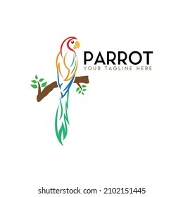 parrot logo perched on single branch design inspiration, color full bird, vector template in white background