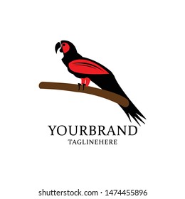 Parrot logo vector in isolated white background