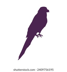 Parrot with long tail silhouette. Tropical bird shape. Isolated flat vector illustration for logo, icon, emblem.