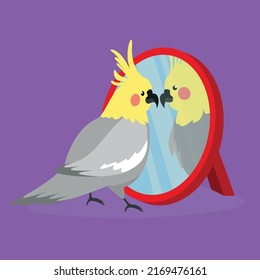 Parrot looks at his reflection in the mirror