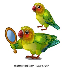 Parrot lovebird admiring her own reflection in the mirror. Tropical tamed bird is isolated on a white background. Animated vector illustration.