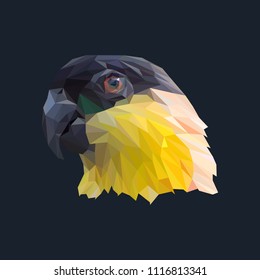 Parrot low poly design. Triangle vector illustration.