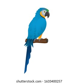 Parrot, macaw, bird vector icon.