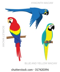 Parrot Macaw Cartoon Vector Illustration