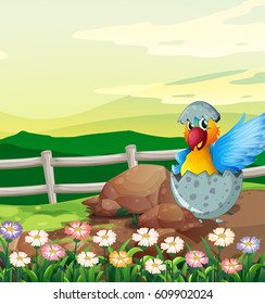 Parrot macaw hatching egg illustration