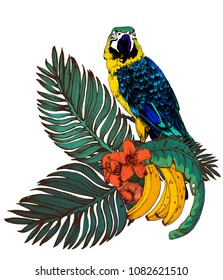 parrot macaw on branch, palm leaves, flowers and bananas, vector illustration, ink, hand drawing isolated on white background