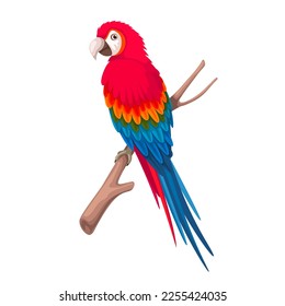 Parrot Macaw on tree branch vector illustration. Cartoon isolated tropical bird with red and blue feathers, portrait of parrot sitting on perch in jungle forest, cute colorful exotic talking pet