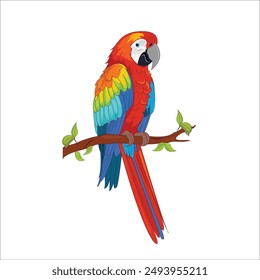 Parrot Macaw on tree branch vector illustration