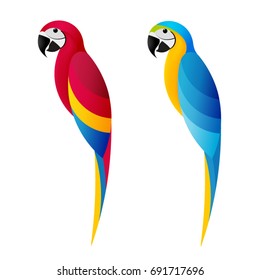 Parrot macaw on white background