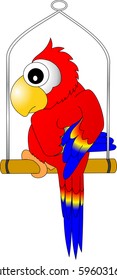 parrot, macaw red sitting on a pole
