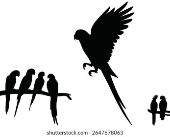 Parrot macaw silhouette vector set