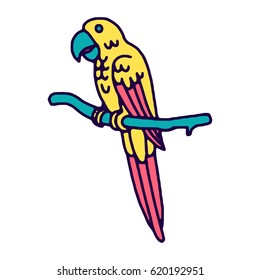 Parrot macaw, vector illustration