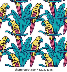 Parrot macaw, vector illustration