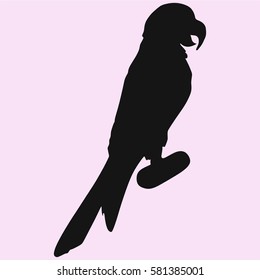 Parrot macaw, vector silhouette isolated