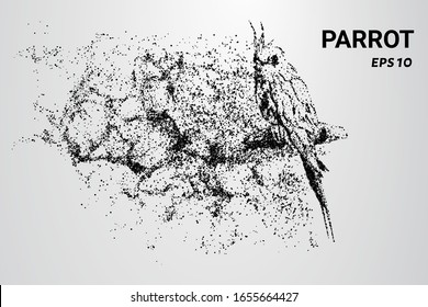 A parrot made of particles. A parrot consists of circles and dots. The parrot splits into molecules.