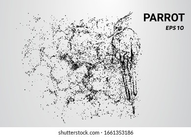 A parrot made of particles. A parrot consists of circles and dots.