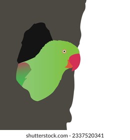 Parrot in the nest hole. Green parrot sitting on tree trunk with nest hole. Parrot vector illustration. Green parrot Hand drawing.