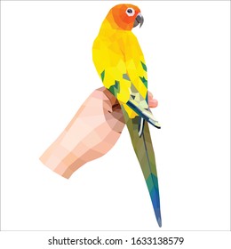 

A parrot on the back of his hand