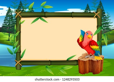 Parrot on bamboo frame