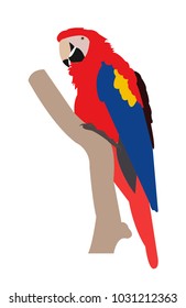 Parrot on a branch