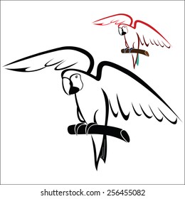 Parrot on branch