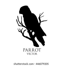 Parrot on a branch black vector silhouette