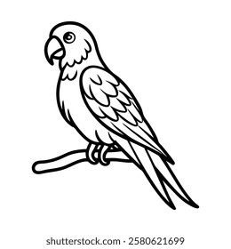 Parrot, parrot on a branch, macaw bird, bird design, parrot art, bird on branch