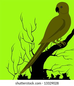 parrot on the branch of a tree	
