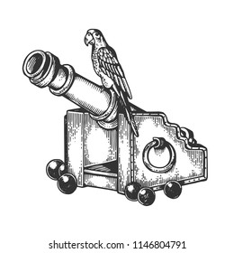 Parrot on cannon engraving vector illustration. Scratch board style imitation. Black and white hand drawn image.