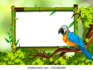 Parrot on nature green template illustration