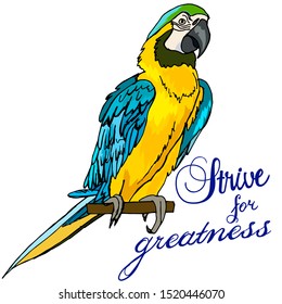 Parrot on a perch phrase strive for greatness