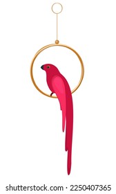 Parrot on a perch. A pink parrot sits on a ringlet. Poultry. Vector isolated illustration
